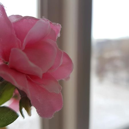 Guesthouse Gamli Baer Húsafell Pokoj fotografie