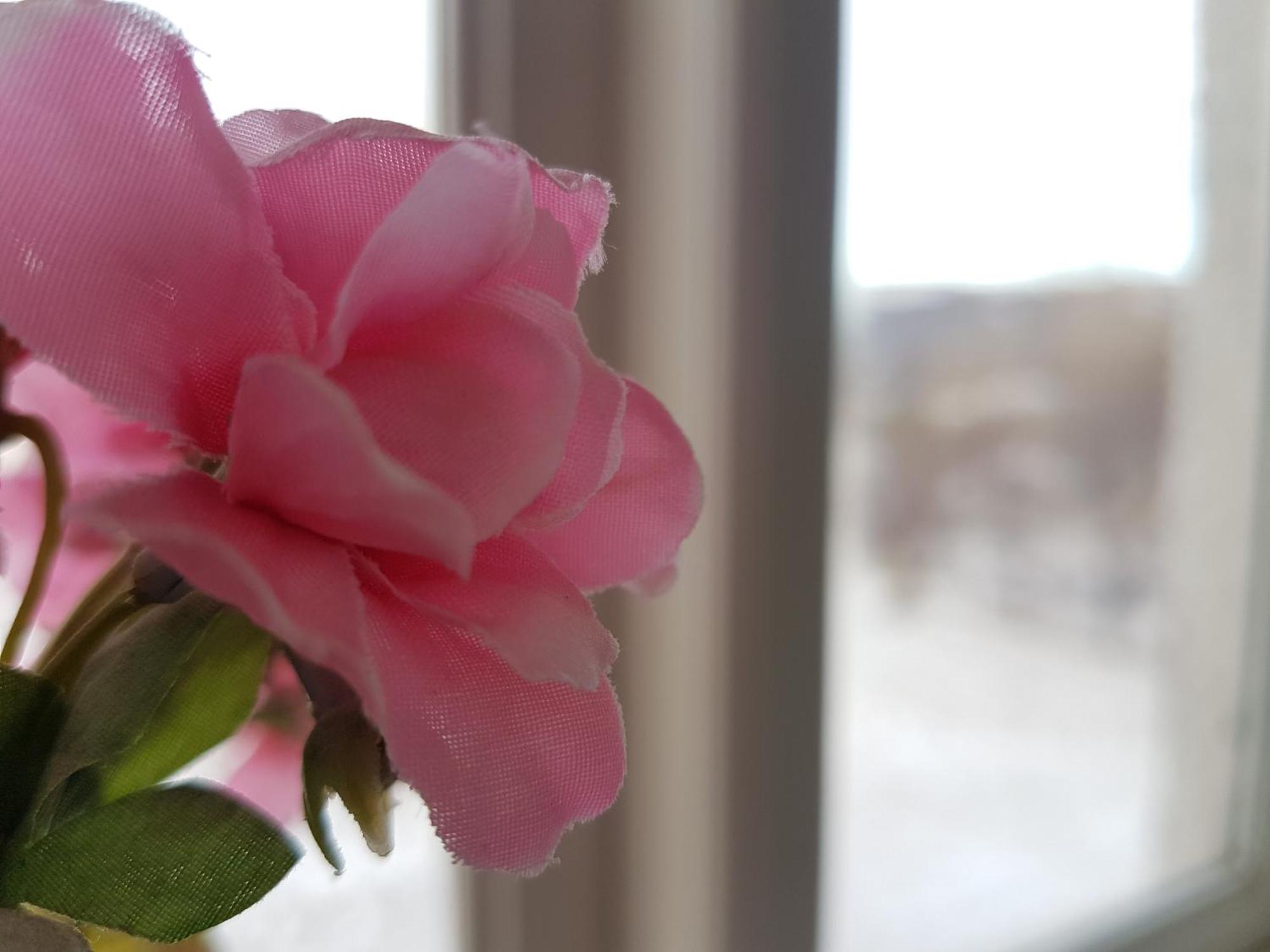 Guesthouse Gamli Baer Húsafell Pokoj fotografie